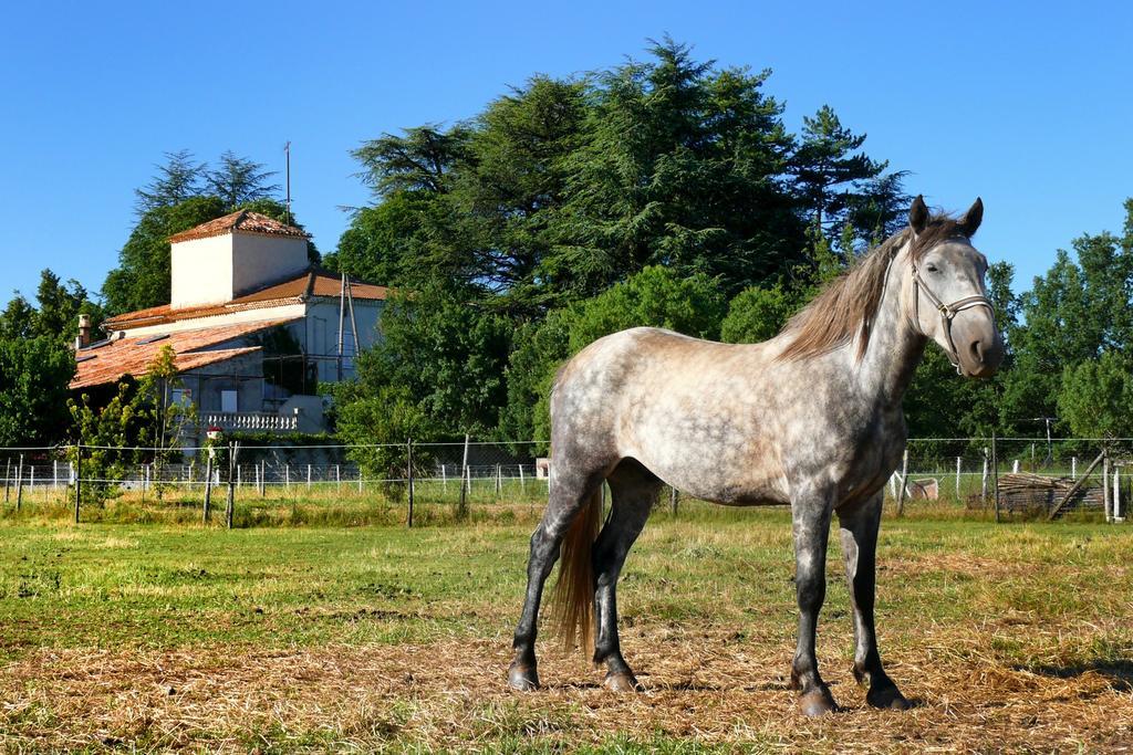 Domaine De Majastre Bed & Breakfast Bauduen Exterior photo